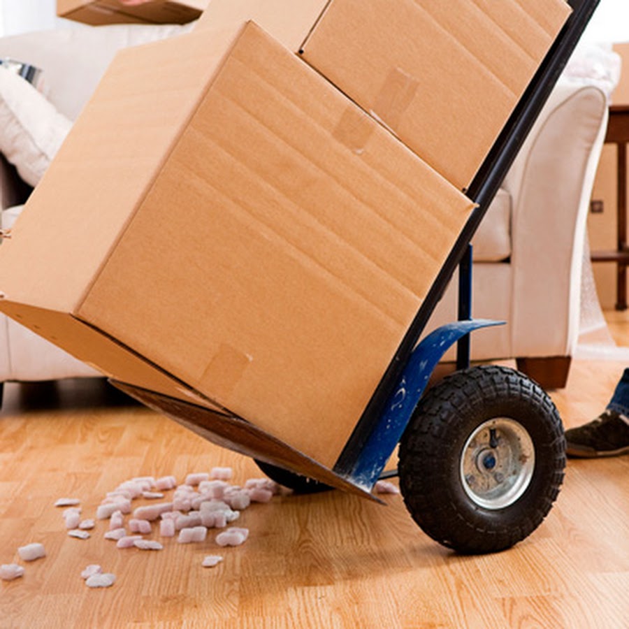 Maintaining Order and Organizing Items When Preparing for a Move